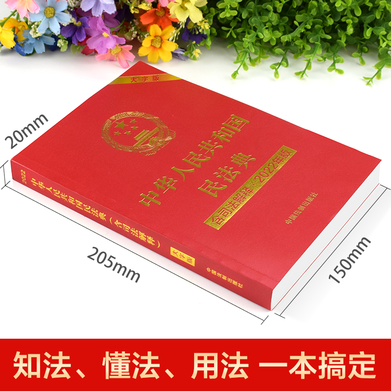 民法典正版中华人民共和国民法典含司法解释大字版 中国民法典32开法律法规法条民法典总则编中国法制出版社法律书籍 - 图0