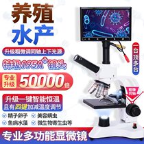 Professional microscopy Three-eyes 50000 times constant temperature heating Private look at mites spermatozoa sperm eggs fish disease aquaculture