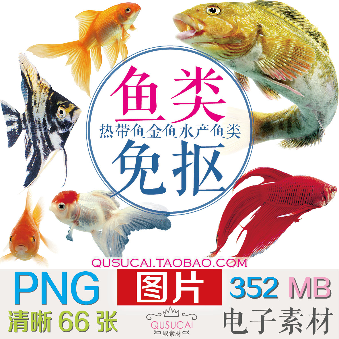 金鱼的图片推荐品牌 新人首单立减十元 21年6月 淘宝海外