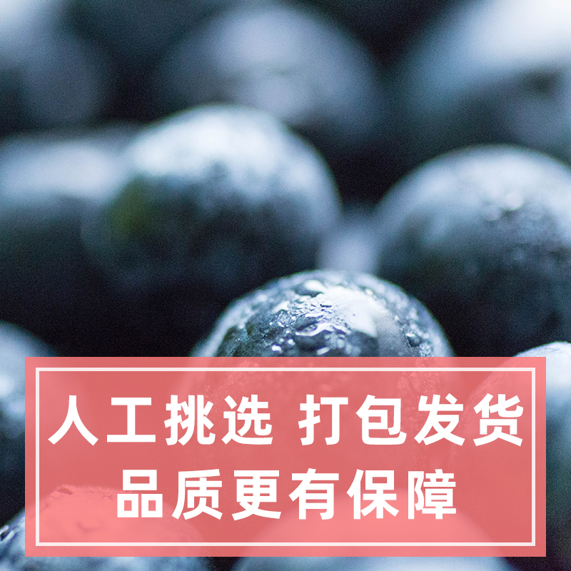 冷冻新鲜蓝莓速冻蓝莓肉浆速冻蓝莓冰冻新鲜水果烘焙原料1kg榨汁 - 图0