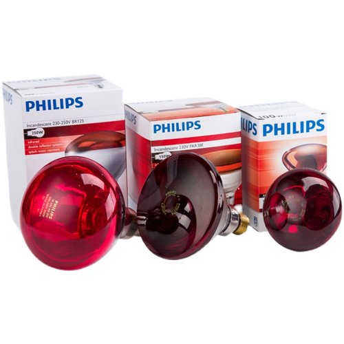飞利浦红外线理疗灯泡美容灯暖灯电烤灯泡100W150W250W红外线灯-图3