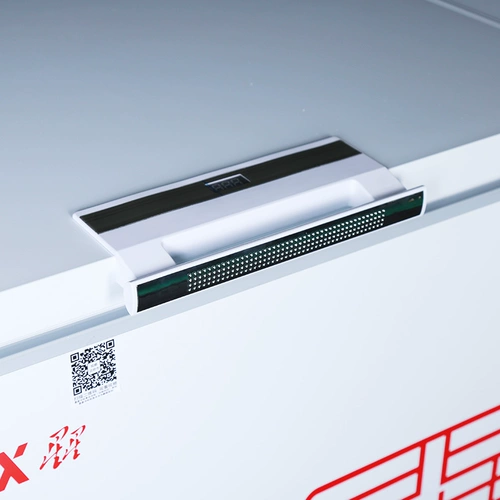 Звездный морозильный дом Коммерческий холодный шкаф 106 -Литер 210 -Литр 305 -литровый