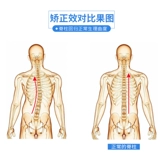 Ober Ортезы, корректор осанки, фиксаторы в комплекте