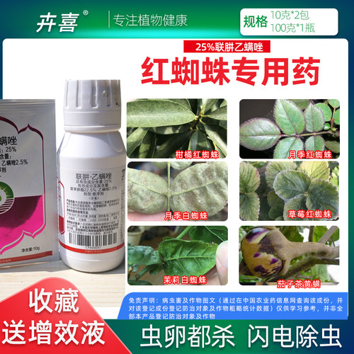 杀红蜘蛛专用药虫卵双杀月季花常用药蚜虫蓟马杀虫剂花卉蔬菜通用 - 图1