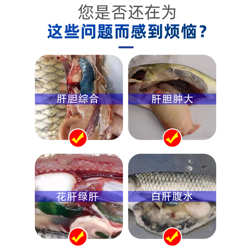 水产养殖专用药鱼药虾药肝汁酸保肝强肝胆利剂肝胆康水产-图1