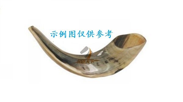 上海以色列天然真公羊角号角rams horn shofar 小号羊角号,淘宝优惠券,粉丝福利购,淘宝优惠卷