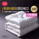 School dormitory apartment down velvet quilt core for all seasons