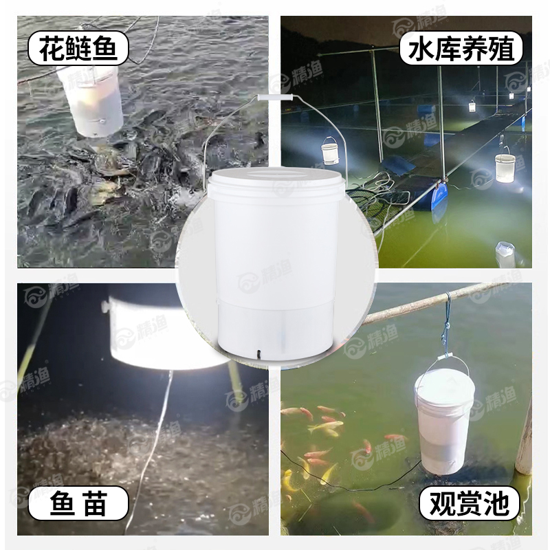 精渔鱼苗粉料投料机自动喂食投饵器定时投料桶喂粉料桶泥鳅苗花鲢,淘宝优惠券,粉丝福利购,淘宝优惠卷