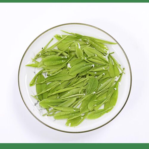 【雨前二级白茶】新茶叶500g正宗高山春茶散装绿茶一斤 - 图2