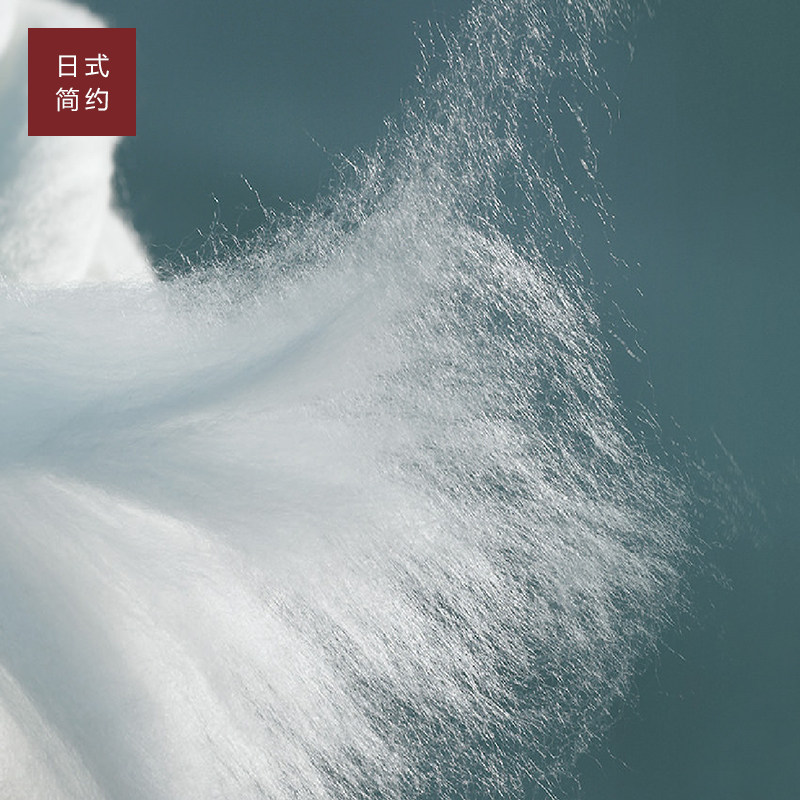 出口日本a类母婴级白色被子被芯春秋冬被纯棉保暖四季被夏凉被薄,淘宝优惠券,粉丝福利购,淘宝优惠卷