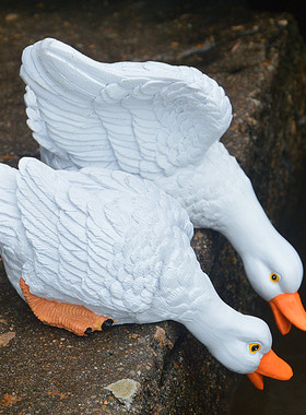 花园庭院池塘水池假山鹅喝水鸭子