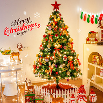 Christmas Tree 2023 New Home Swing Piece Diy Christmas Decorations Package Emulation Luminous Dress Dress