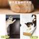 Cat scratch board Smartcat cat scratch board