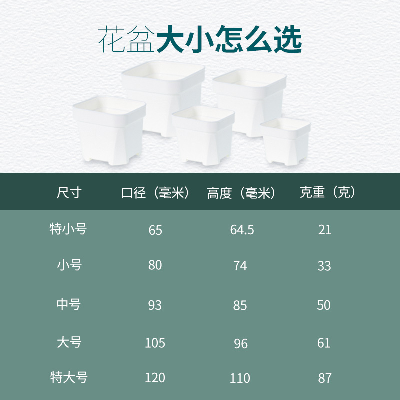 塑料小方盆多肉花盆特厚白方盆叶插生石花植物方形育苗盆托盘加厚-图2