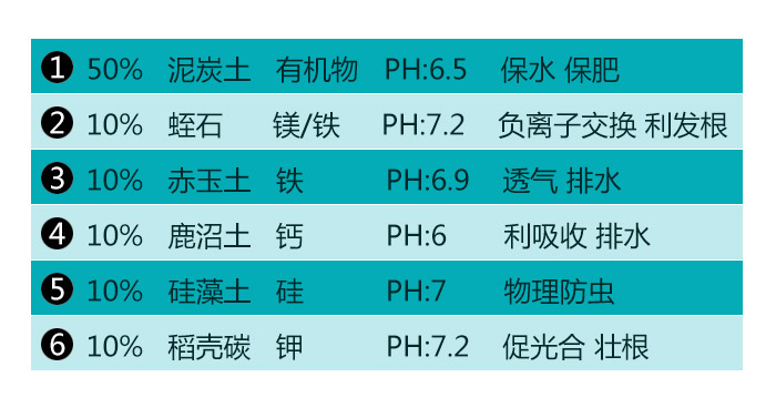 多肉叶插配土植物专用土插叶片发根育苗配方介质颗粒泥炭营养土-图2