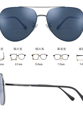 墨镜偏光飞行员太阳镜19年新品
