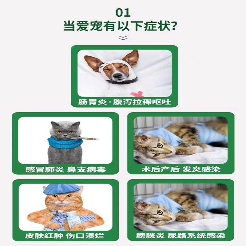 惠可宁头孢喹肟注射液猫用疱疹杯状病毒猫狗消炎针剂鼻支猫瘟犬瘟,淘宝优惠券,粉丝福利购,淘宝优惠卷