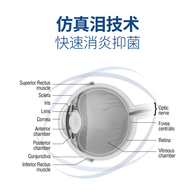 埃尔金眼倍康猫眼药水宠物去泪痕洗眼睛眼屎狗狗猫咪用滴眼液10ml - 图1