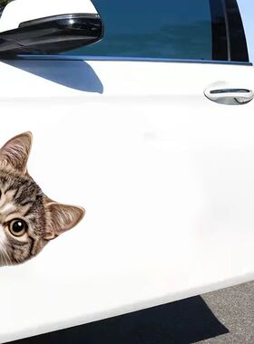 可爱猫咪图案贴画趴门猫咪装饰贴