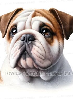 新款狗狗贴画斗牛犬沙皮狗动物贴画贴墙车身门贴玻璃高级防水自贴