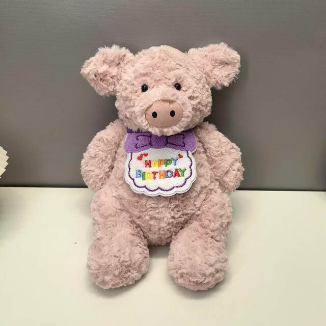 Cute pig plush toy birthday gift