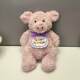 Cute pig plush toy birthday gift