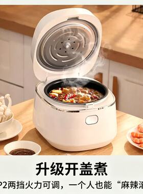 Panasonic/松下 SR-DD051D-W迷你小型电饭煲锅智能家用1.5L多功能