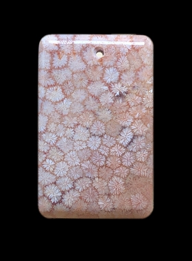 男女珊瑚玉吊坠项链油画风凤尾