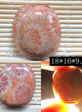 化石珊瑚玉龟壳配饰手串