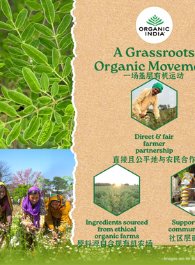 OrganicIndia辣木超级食品