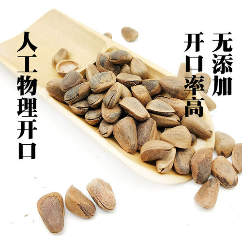 红松子新货东北特产开口松子松树屯坚果特大颗粒原味手剥人工500g-图0
