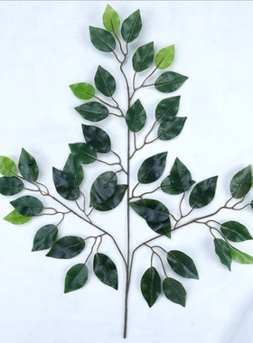 仿真植物叶子枫叶芒果榕树枝绿色