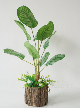 仿真绿植树皮假枯木苔藓