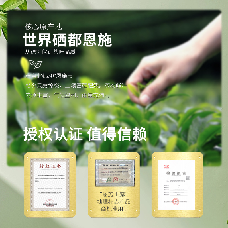 2024新茶恩施玉露茶叶绿茶富硒茶自己喝口粮茶官方正品旗舰店特尊