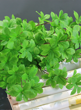 马醉木室内橱窗样板房间仿真植物