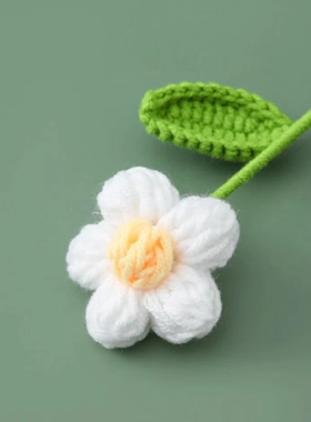 情人节毕业季教师节手工成品泡芙毛线花编织雏菊桔梗母亲节礼品花