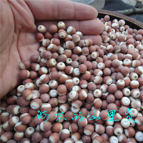 2021新货 农家精选芡实 红皮芡实仁 芡实米 鸡头米 无臭味 250g - 图0