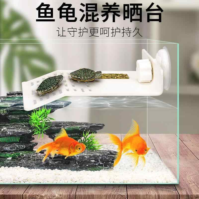 浮水草 新人首单立减十元 21年8月 淘宝海外