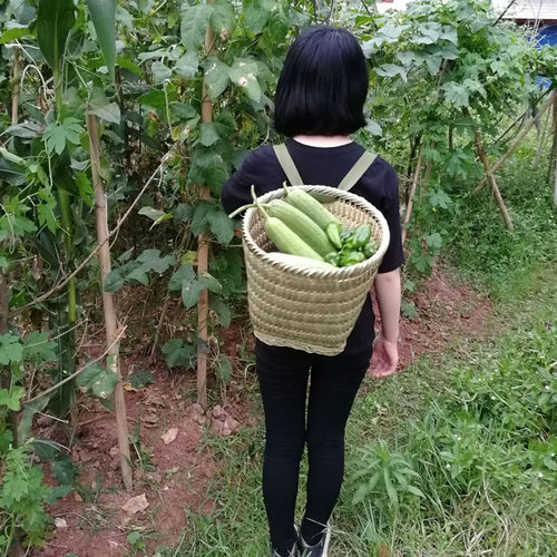 竹编小背篓儿童纯手工竹制品家用背兜竹背篓买菜竹篓采茶舞蹈道具 - 图2