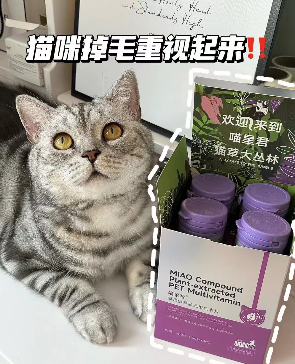 喵星君 猫多元维生素150*4瓶 猫每日所需维生素益生元 - 图1