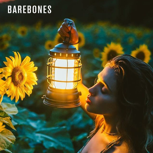 Дорожная палатка, ретро садовые фонари для кемпинга, светодиодный светильник