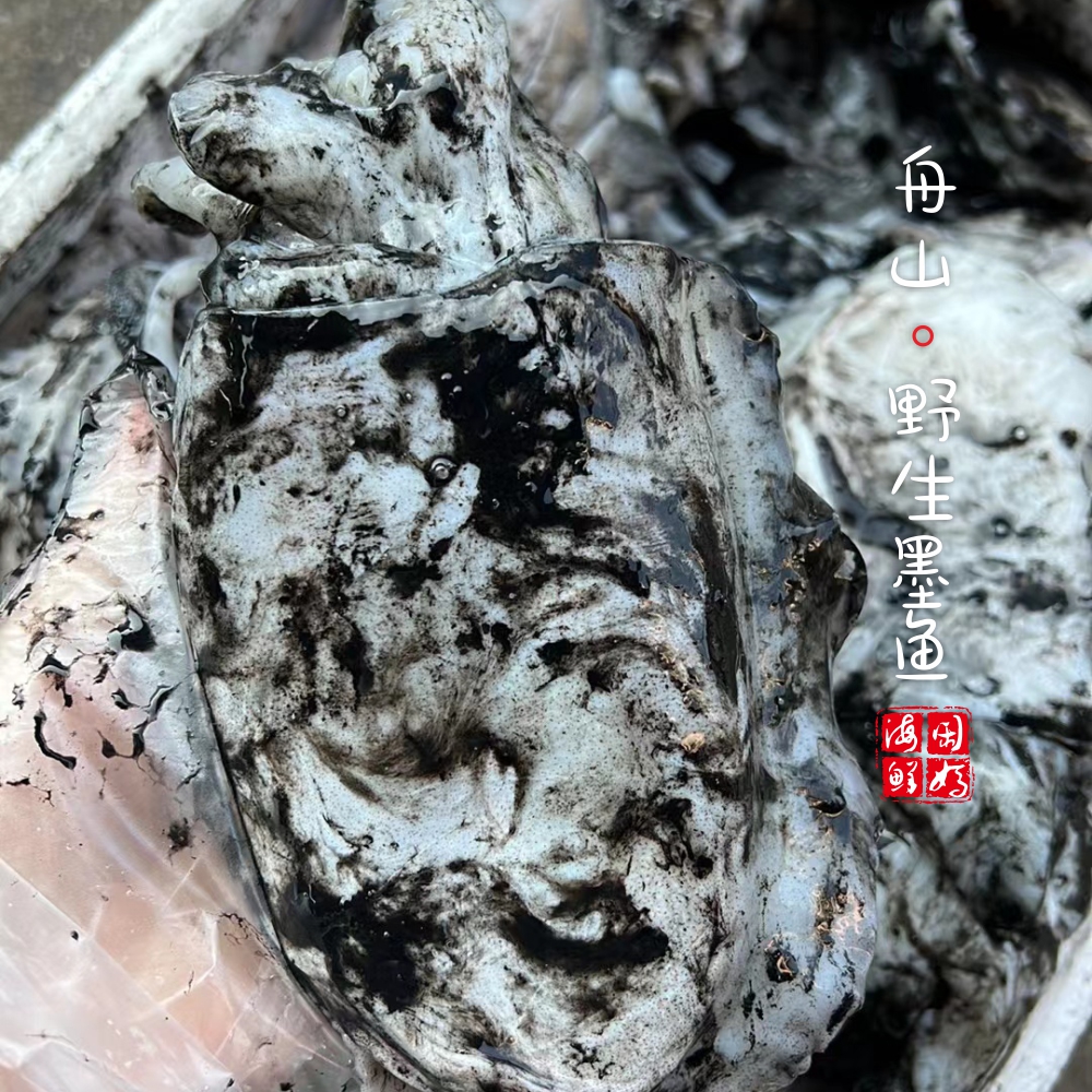 【闹妈海鲜】[鲜冻]舟山野生原汁大墨鱼，季节货嫩嫩嫩/各种规格,淘宝优惠券,粉丝福利购,淘宝优惠卷