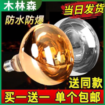 Integrated Ceiling Special Bath Bully Light Bulb Makeup Room Bathroom Heating Explosion Protection 220v275w Bath Bully Bulb Home 