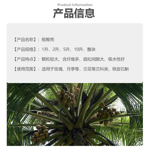 进口大块椰壳兰花植料粗椰壳椰砖营养土脱盐石斛花土蝴蝶兰专用土 - 图0