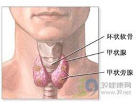 新型PB06甲状腺x射线防护围领患者护颈铅围脖直领护脖防x光辐射包-图3