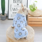 Синий кролик, зимний милый удерживающий тепло свитер, кот, домашний питомец