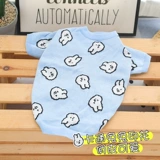 Синий кролик, зимний милый удерживающий тепло свитер, кот, домашний питомец