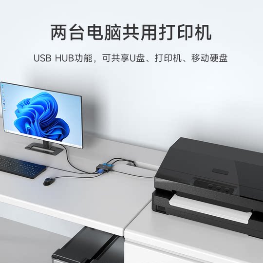 Maxtor VGAKVM switch 2 ports