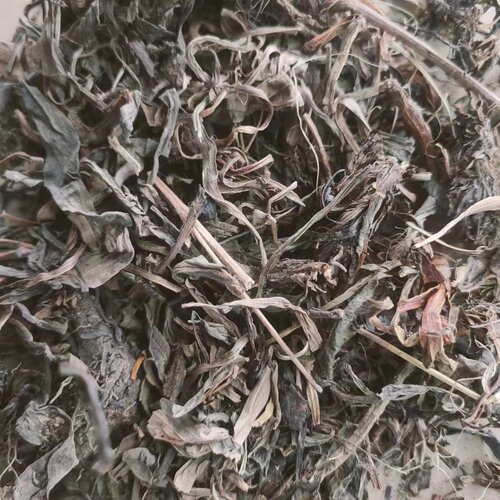 甘松 拍2斤包邮 香草 干松 香松干松 灵草排草 中草药材 500g克 - 图1