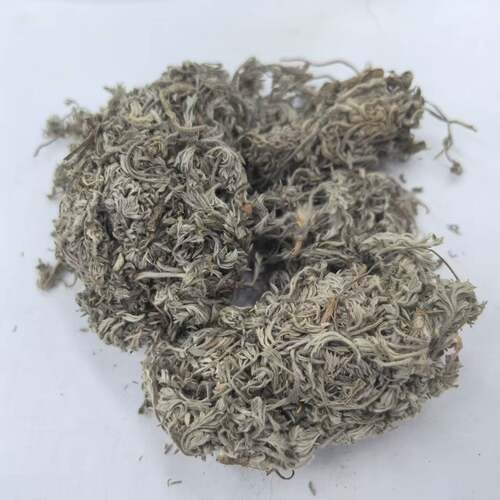 绵茵陈 拍2件包邮 白蒿 茵陈蒿 草茵陈因陈 茵陈草 中药材 500g克 - 图3
